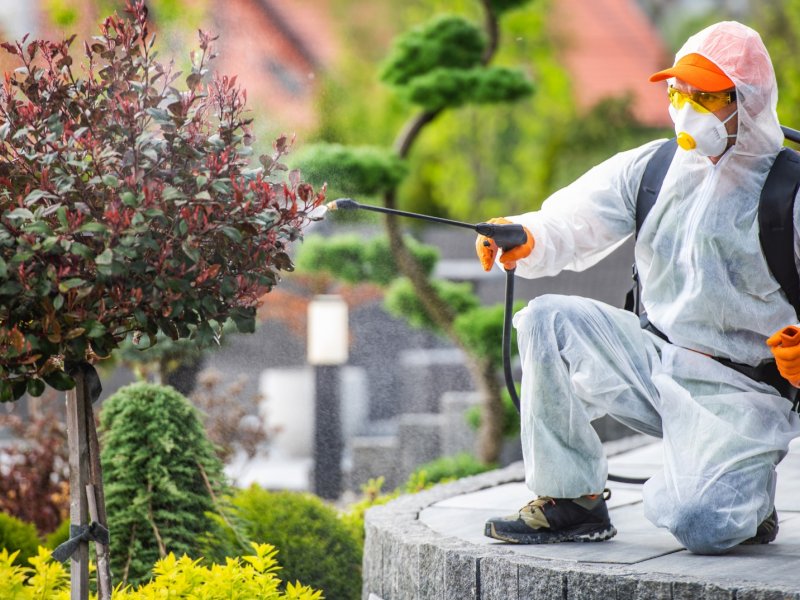 Eskipazar Haşere İlaçlama